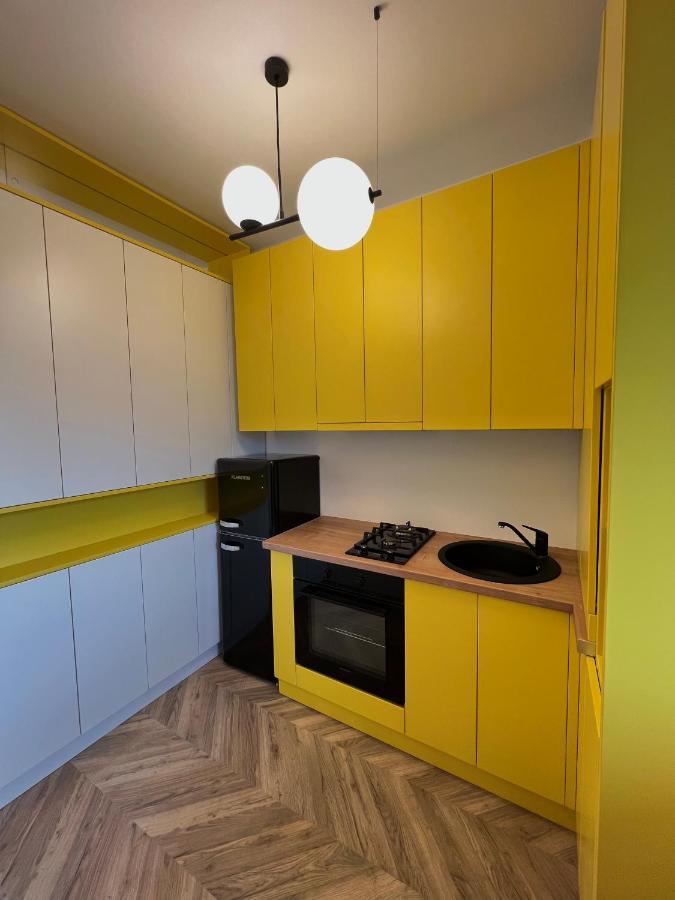 יאשי Nivas Apartments-Palace Of Culture מראה חיצוני תמונה